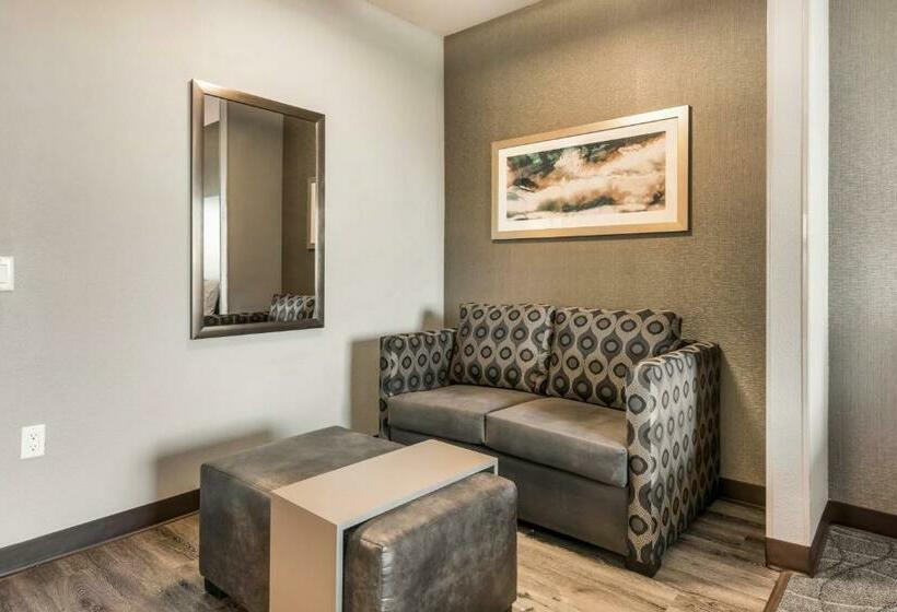 Люкс Адаптированный для Инвалидов, Holiday Inn Hotel & Suites Silicon Valley – Milpitas, An Ihg