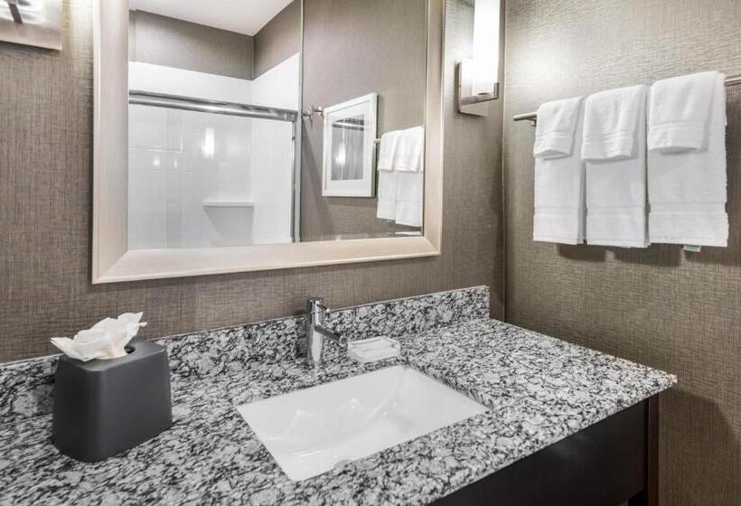 Люкс Адаптированный для Инвалидов, Holiday Inn Hotel & Suites Silicon Valley – Milpitas, An Ihg