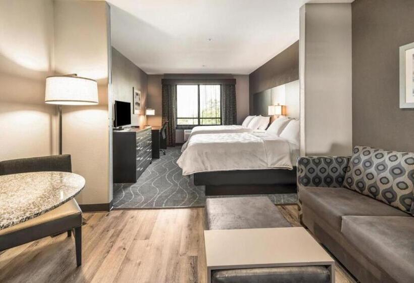 جناح لذوى الاحتياجات الخاصة, Holiday Inn Hotel & Suites Silicon Valley – Milpitas, An Ihg