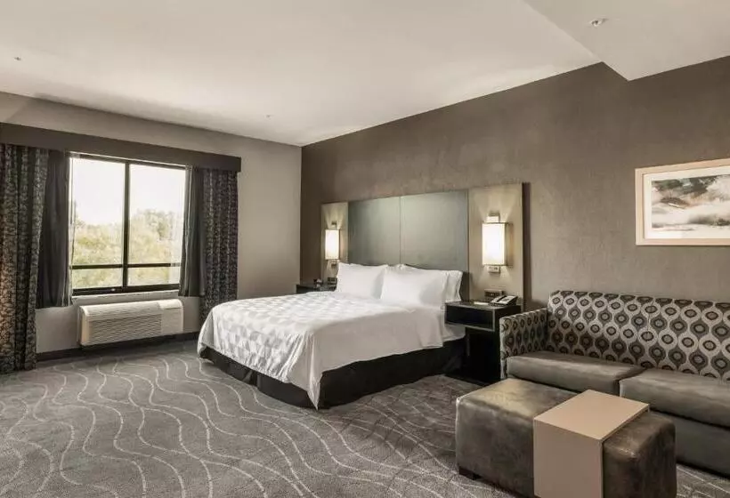 キングサイズベッドのスイートルーム, Holiday Inn Hotel & Suites Silicon Valley – Milpitas, An Ihg