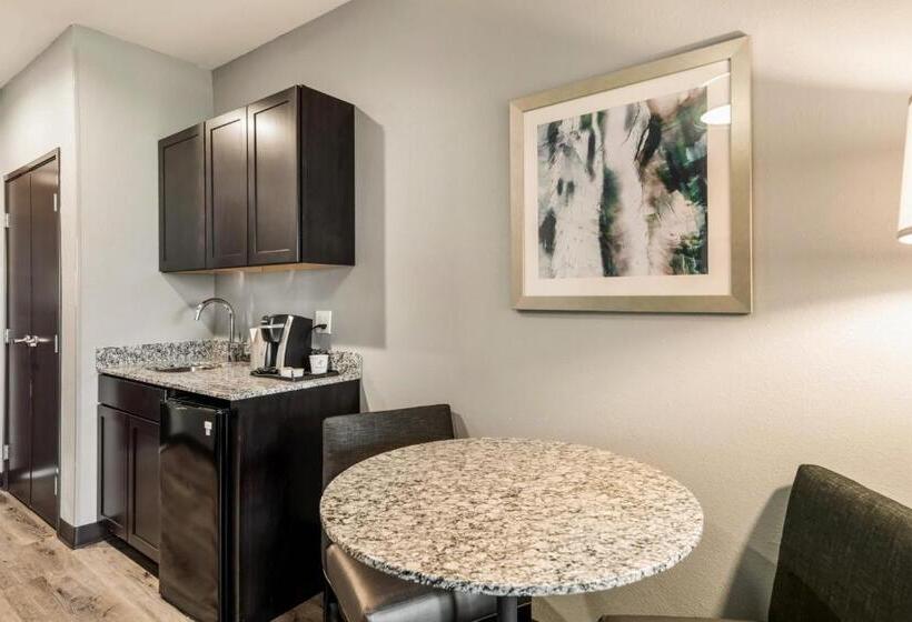 جناح سرير كينج, Holiday Inn Hotel & Suites Silicon Valley – Milpitas, An Ihg