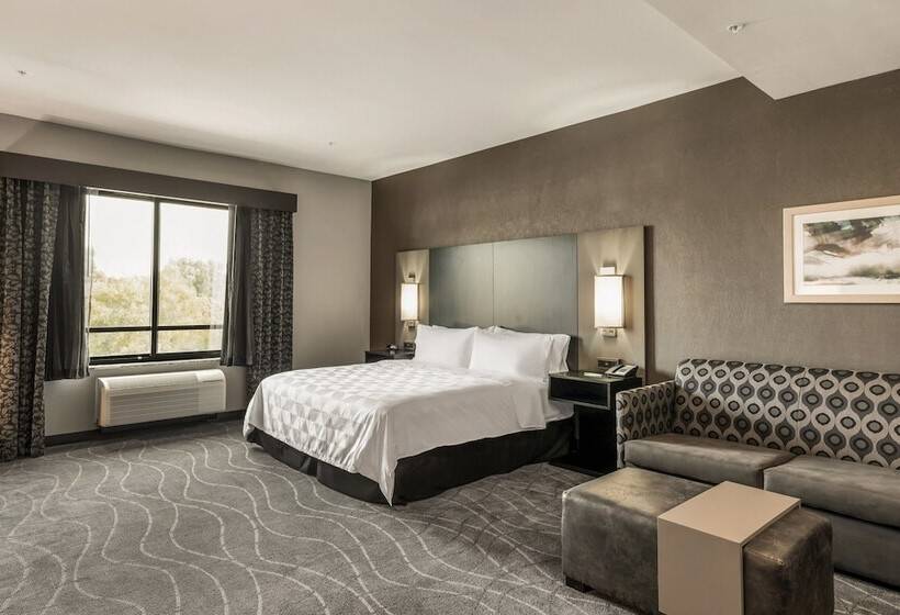 Люкс Адаптированный для Инвалидов, Holiday Inn Hotel & Suites Silicon Valley – Milpitas, An Ihg