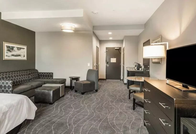 スイート, Holiday Inn Hotel & Suites Silicon Valley – Milpitas, An Ihg