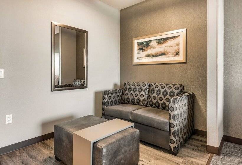 Люкс, Holiday Inn Hotel & Suites Silicon Valley – Milpitas, An Ihg