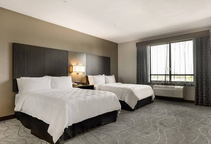 Люкс, Holiday Inn Hotel & Suites Silicon Valley – Milpitas, An Ihg