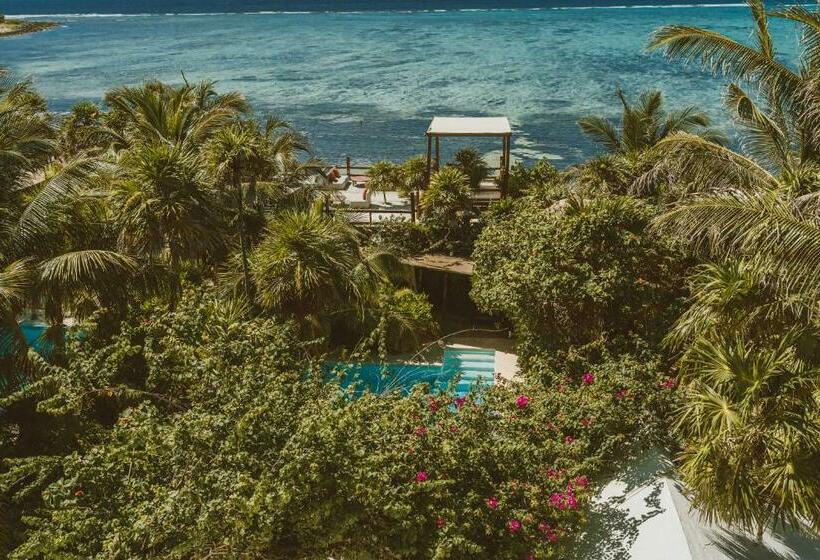 סוויטת סופריור נוף לים, Jashita