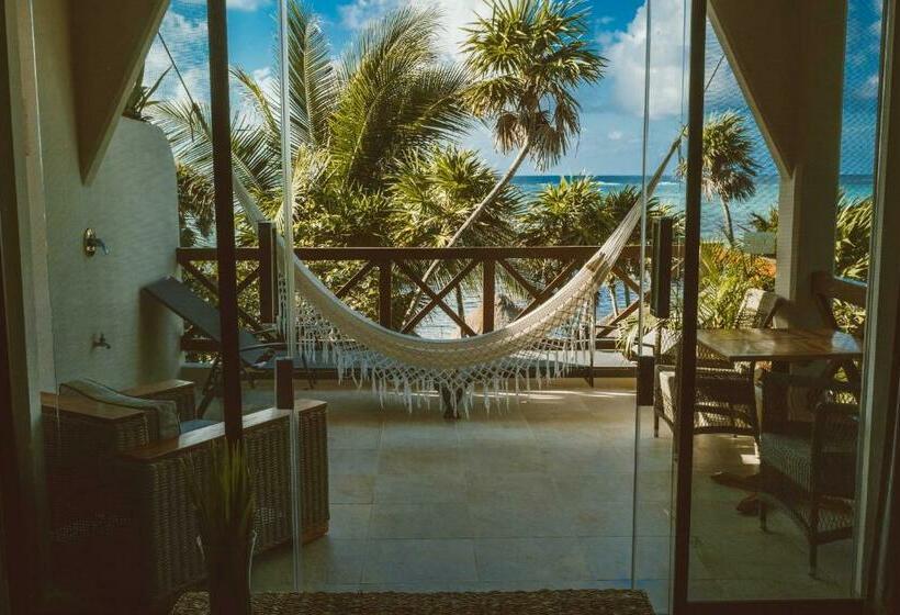 סוויטה נוף לים, Jashita