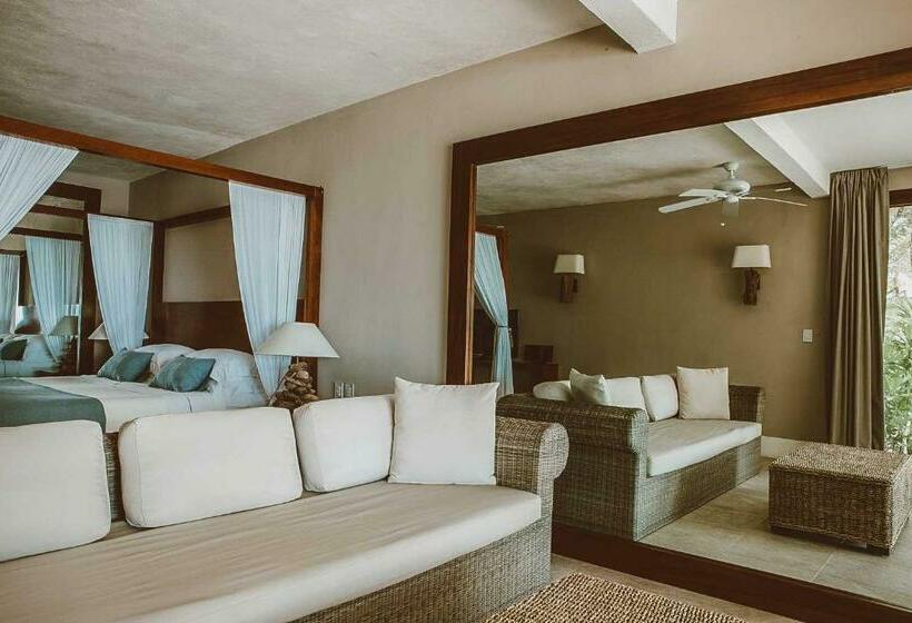 סוויטת סופריור, Jashita