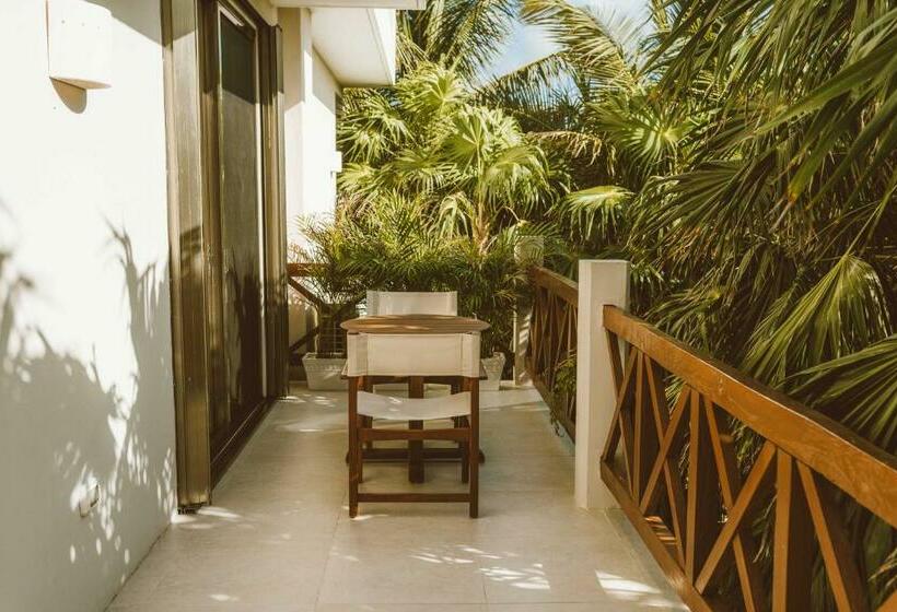 סוויטת סופריור, Jashita