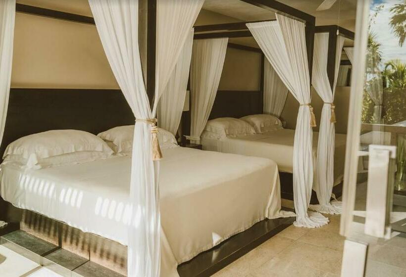 חדר סטנדרט, Jashita