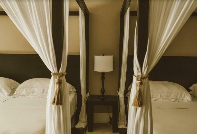 חדר סטנדרט, Jashita