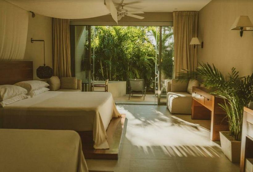 חדר סטנדרט, Jashita