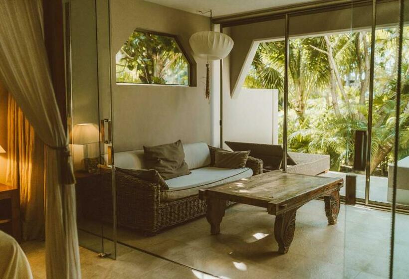 חדר סטנדרט, Jashita