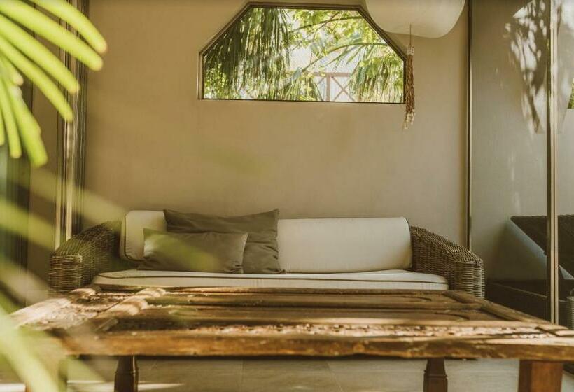 חדר סטנדרט, Jashita