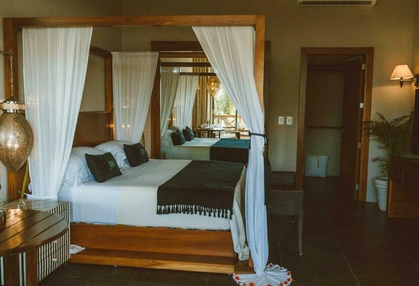 מיטת קינג בסוויטה, Jashita