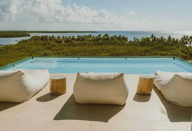 חדר פנטהאוז, Jashita