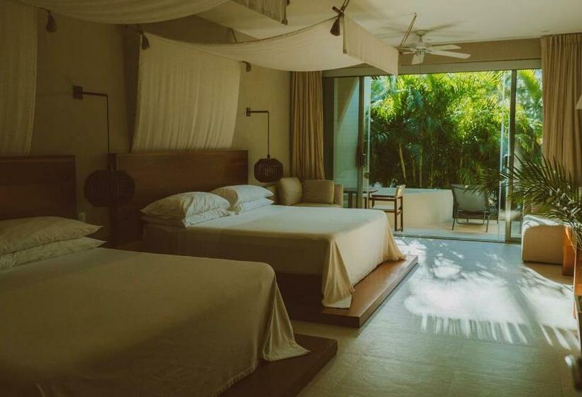 חדר סטנדרט, Jashita