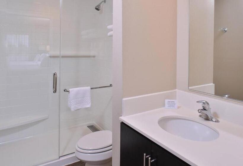 إستوديو قياسى سرير كينج, Towneplace Suites By Marriott Gillette