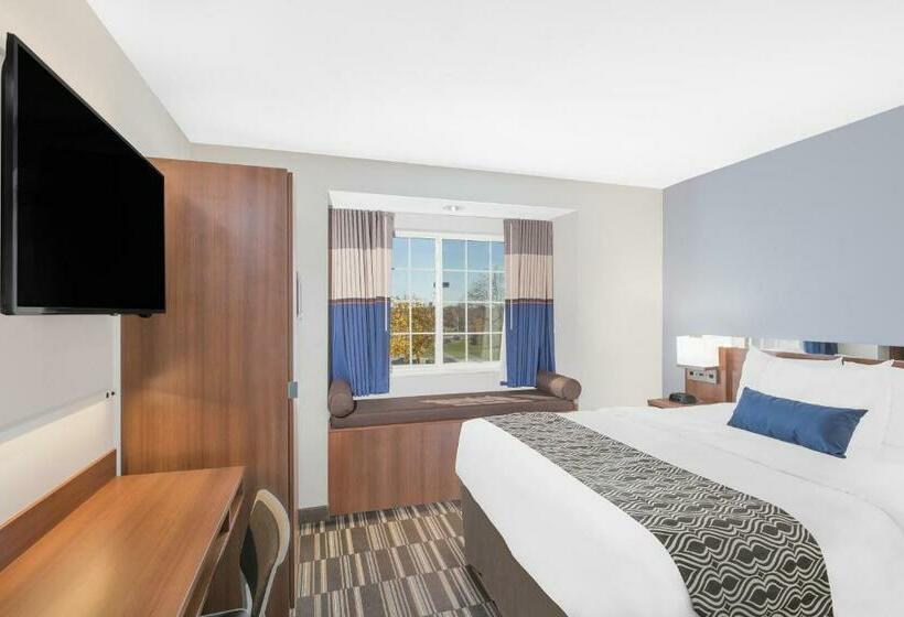 Номер Стандарт Кровать Квин Адаптированный для Инвалидов, Microtel Inn & Suites By Wyndham Binghamton