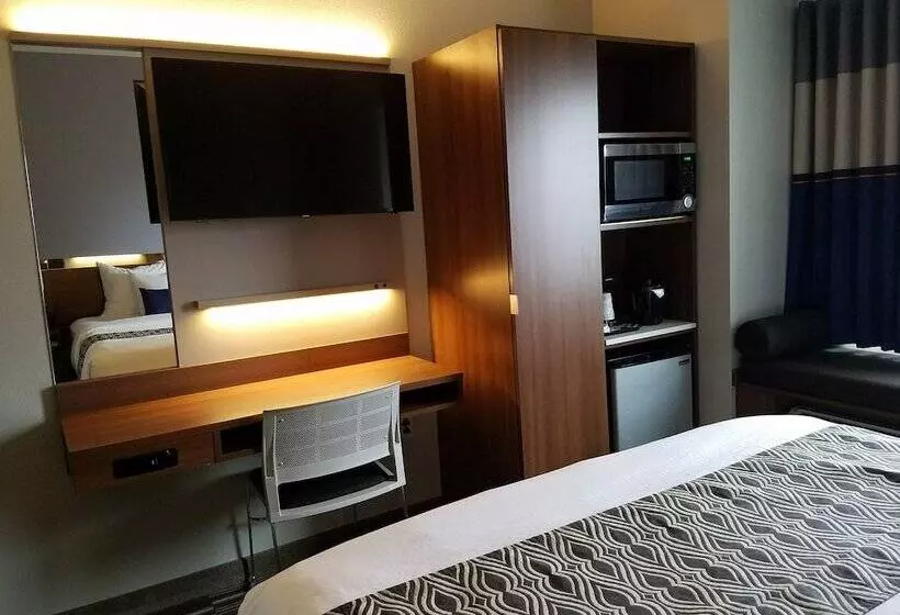 身障者適用クイーンサイズベッドルーム, Microtel Inn & Suites By Wyndham Binghamton