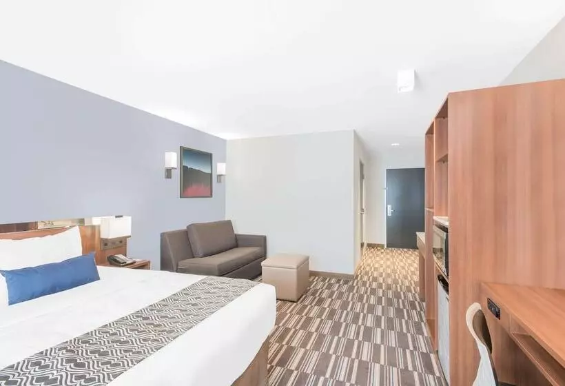 身障者適用クイーンサイズベッドルーム, Microtel Inn & Suites By Wyndham Binghamton
