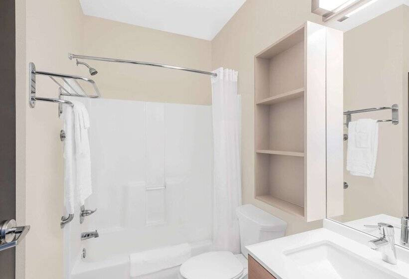 Номер Стандарт Кровать Квин Адаптированный для Инвалидов, Microtel Inn & Suites By Wyndham Binghamton