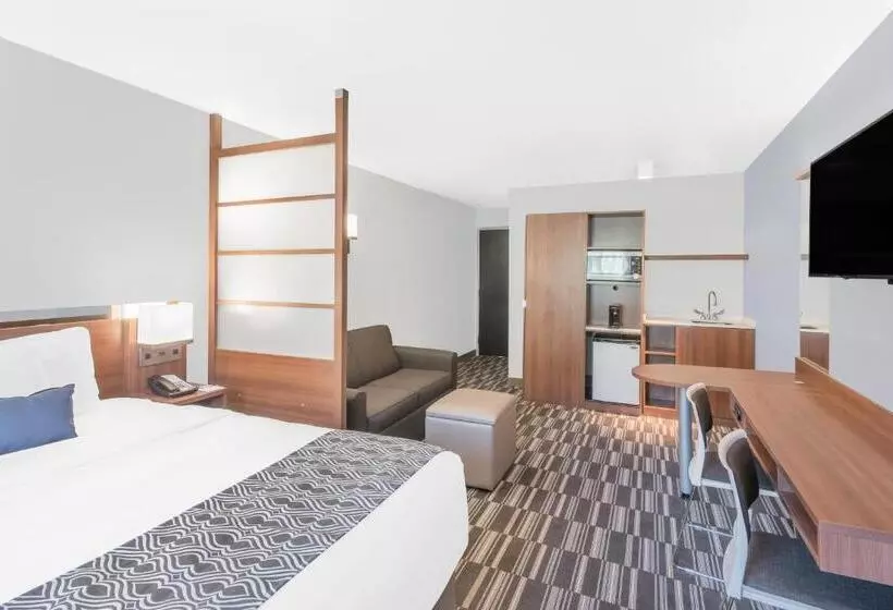 スタンダードスタジオ, Microtel Inn & Suites By Wyndham Binghamton