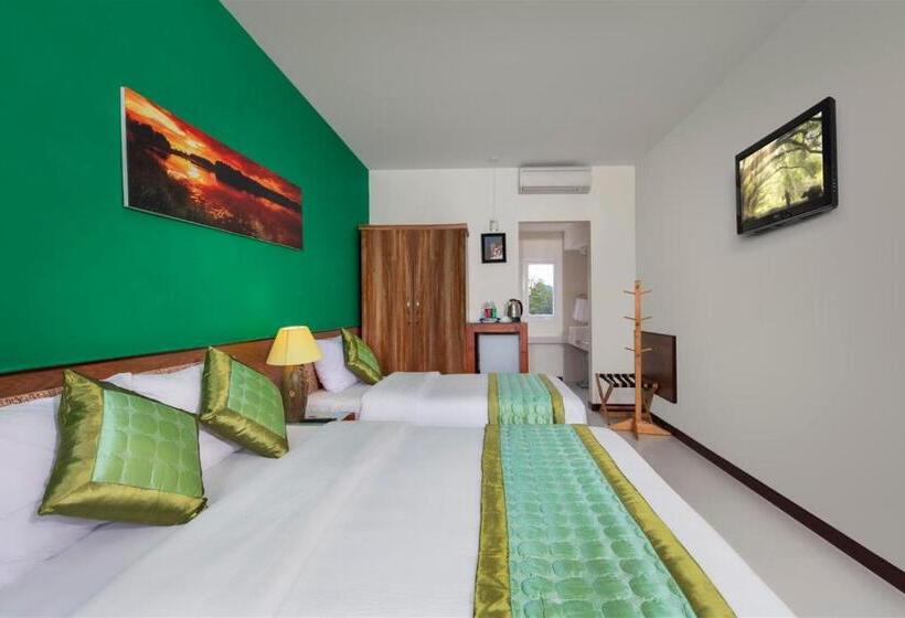 اتاق لوکس, Sai Gon Phong Nha