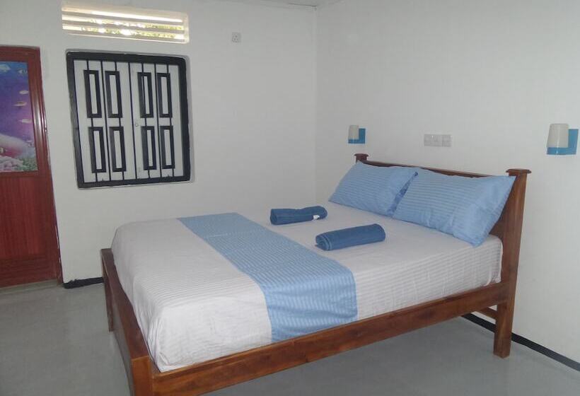 Habitación Estándar, Coralworld