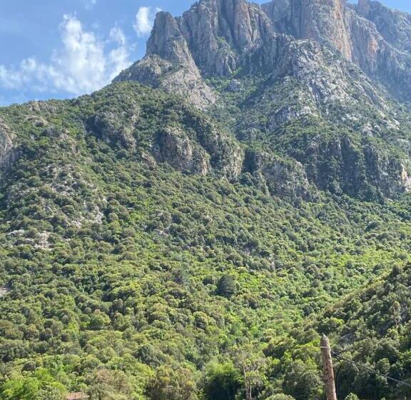 家庭间, Le Porto Appart