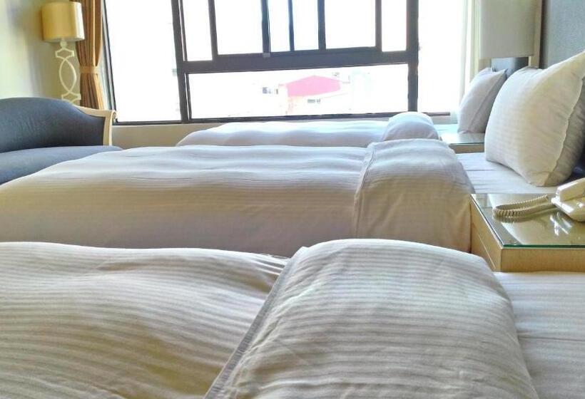 اتاق استاندارد سه نفره, Modern Puli