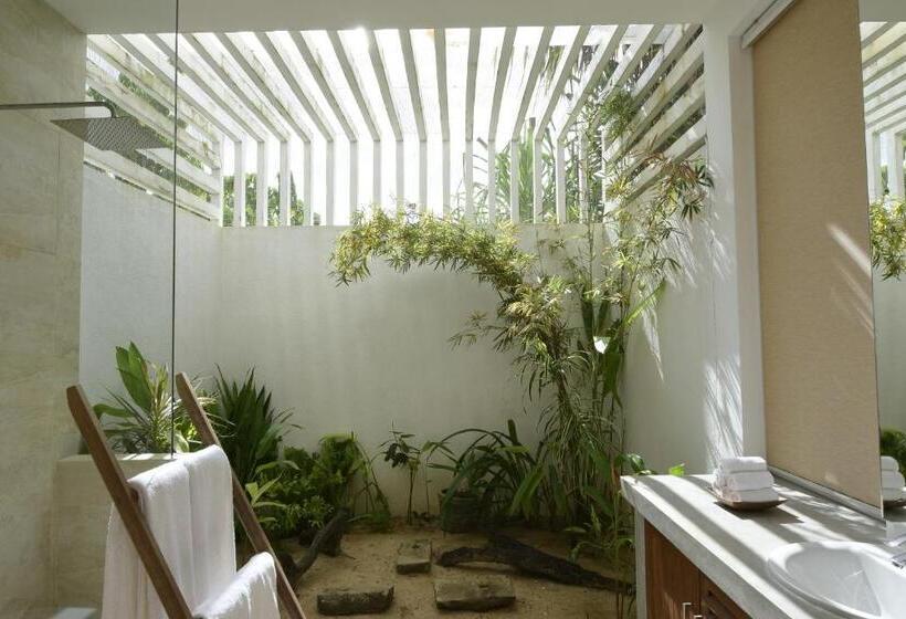 豪华海景房, Soul Resorts