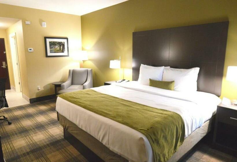 غرفة قياسية سرير كينج, Best Western Plus New Orleans Airport