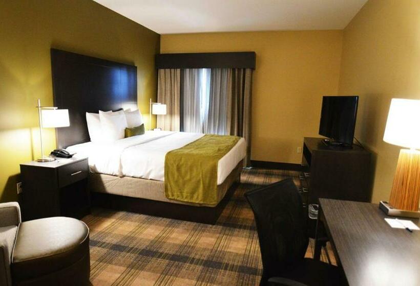 身障者適用キングサイズベッドルーム, Best Western Plus New Orleans Airport