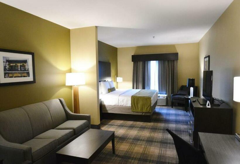 جناح سرير كينج, Best Western Plus New Orleans Airport