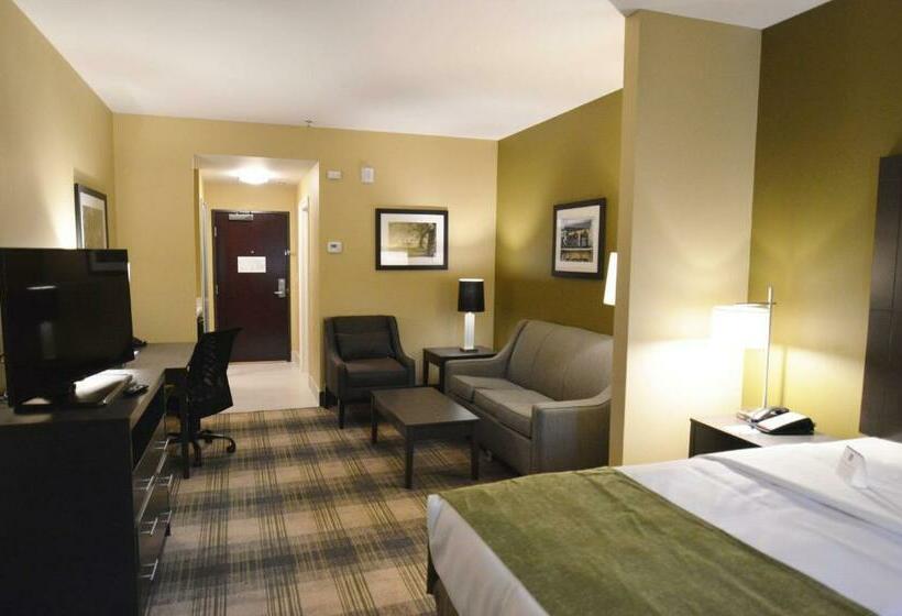 جناح سرير كينج, Best Western Plus New Orleans Airport