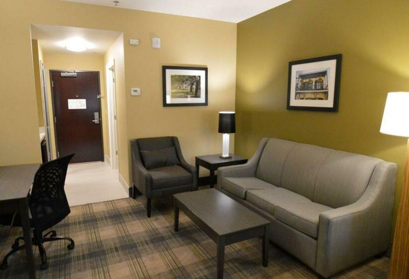 キングサイズベッドのスイートルーム, Best Western Plus New Orleans Airport