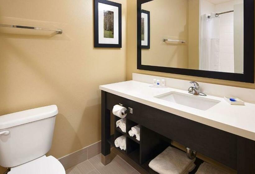 جناح سرير كينج, Best Western Plus New Orleans Airport