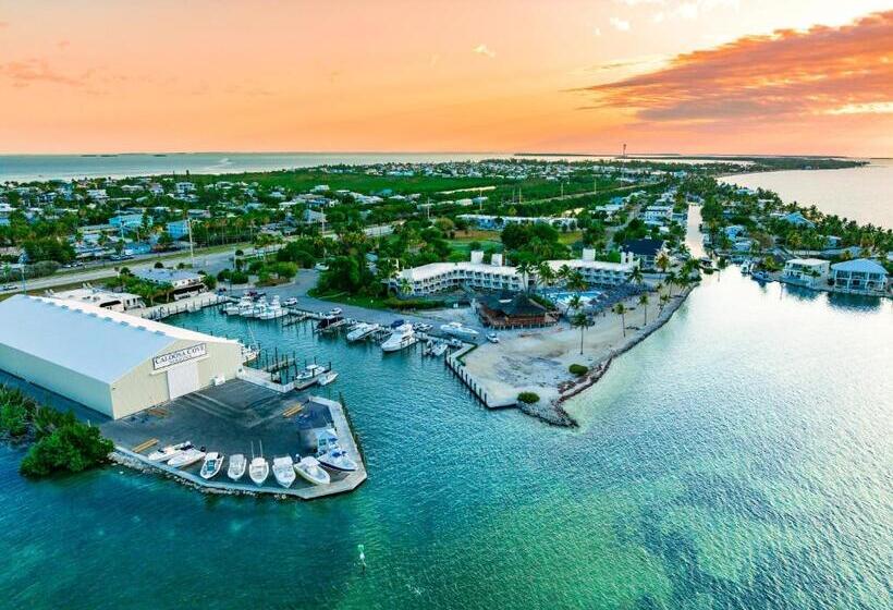 جناح ديلوكس, Caloosa Cove Resort