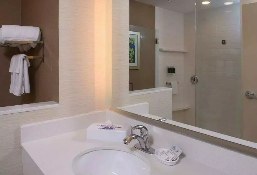 スタンダードルーム, Fairfield Inn & Suites By Marriott Richmond Ashland