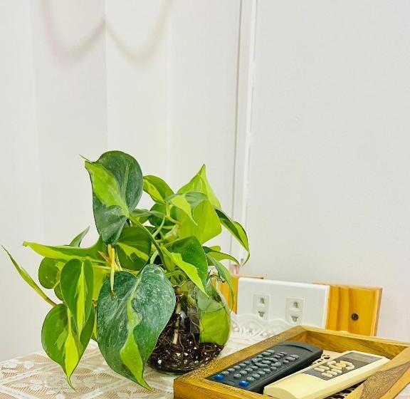 اتاق استاندارد, A.n Homestay