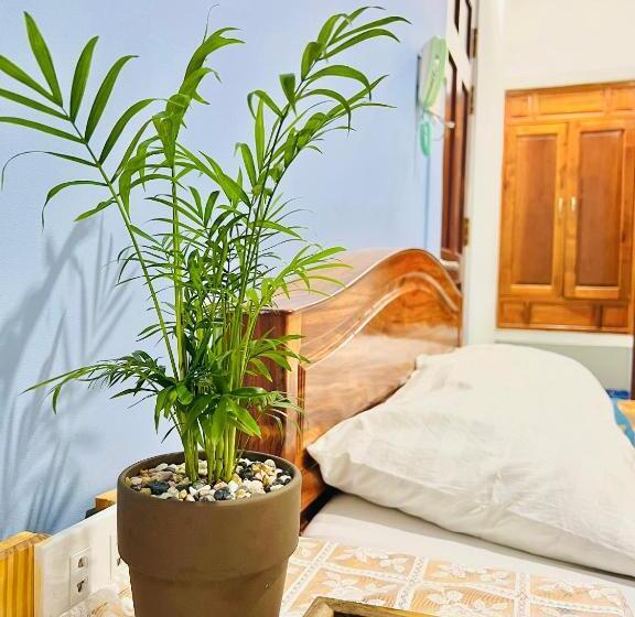 اتاق سوپریور چهار تخته, A.n Homestay