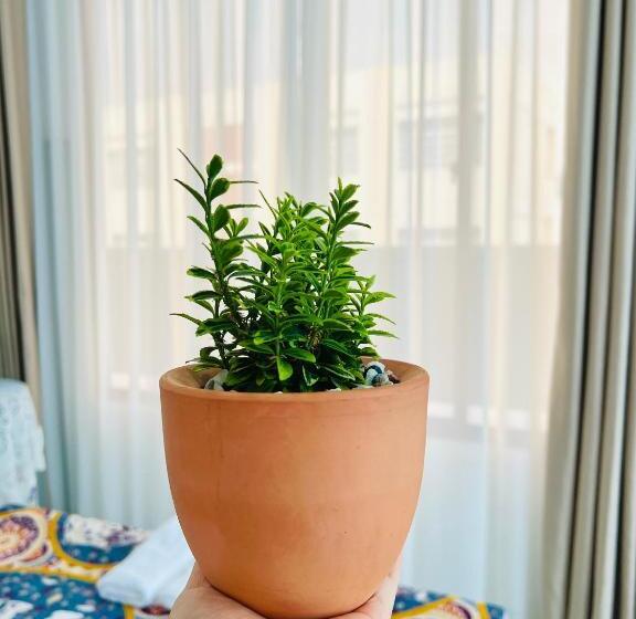 اتاق لوکس چهار تخته, A.n Homestay