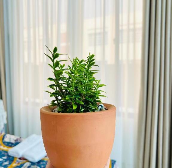 اتاق لوکس چهار تخته, A.n Homestay