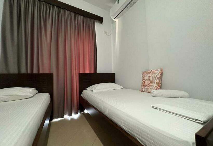 اتاق خانوادگی, Trifoni