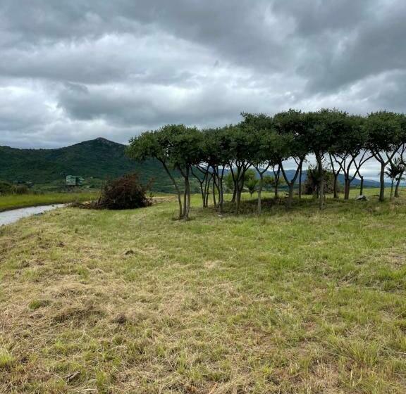 1 Bedroom Apartment Lake View, Canal View Estate & Resort