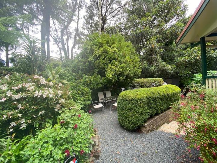 スタンダードルーム, Rosella S On Springbrook