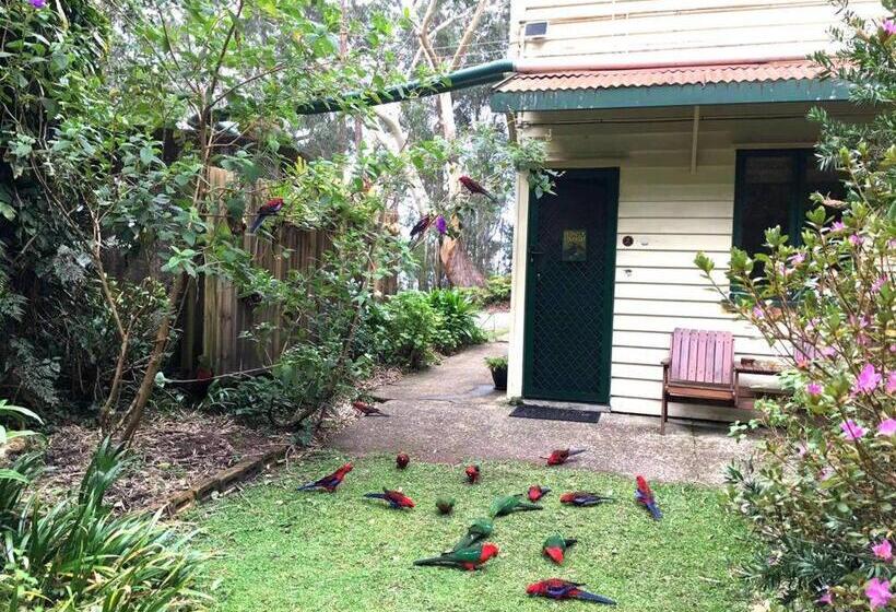 スタンダードルーム, Rosella S On Springbrook