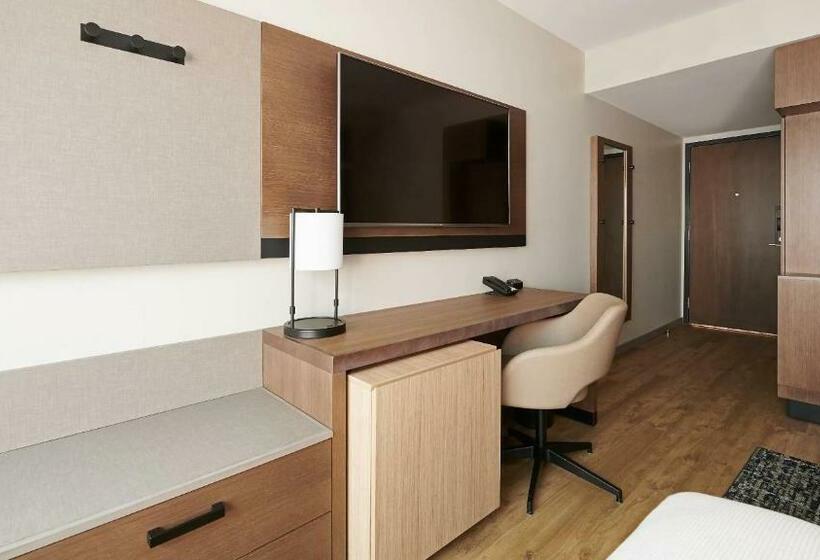 장애인을 위한 킹사이즈 침대 스탠다드 룸, Hyatt Place Albany/downtown