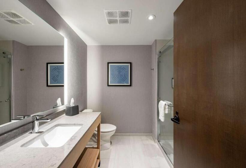 Стандартный Номер Кровать Кинг, Hyatt Place Albany/downtown